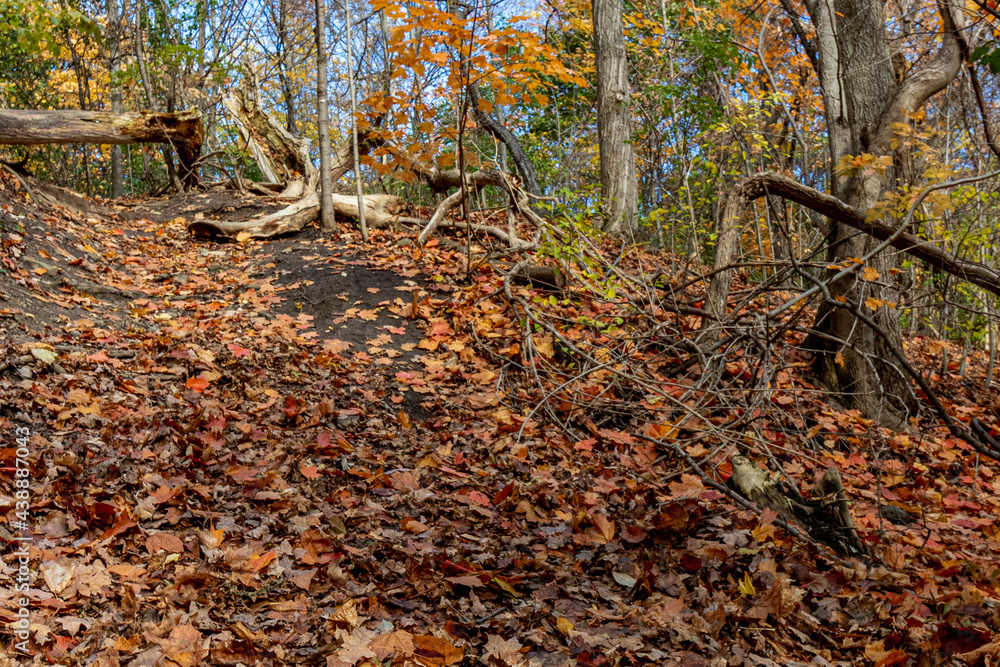 A small hill int he forest by the river - Beautiful fall in Central Canada A small hill int he forest by the river - Beautiful fall in Central Canada