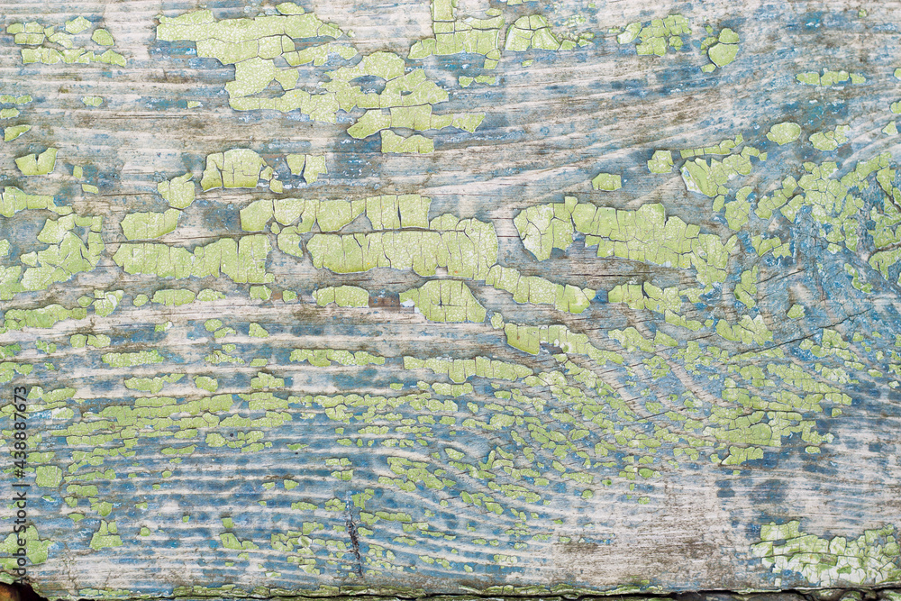 Fototapeta premium Old wooden background with cracked green paint close up.