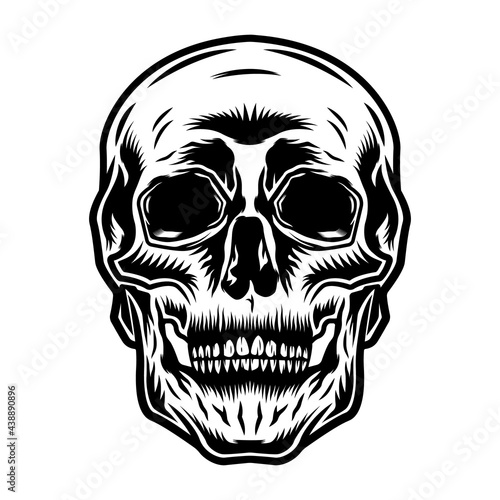 skull black and white monochrome 