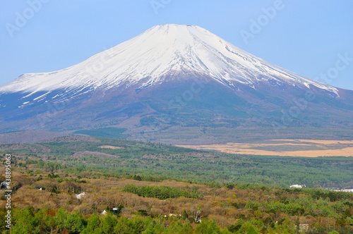 山中湖村パノラマ台より望む春の富士山