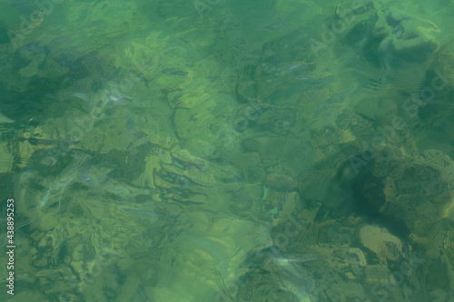 Fototapeta water on a background of green silt