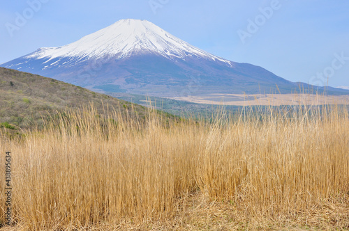 カヤト原の鉄砲木ノ頭より富士山を望む © Green Cap 55