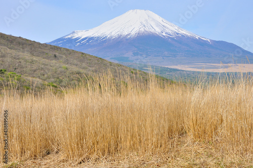カヤト原の鉄砲木ノ頭より富士山を望む