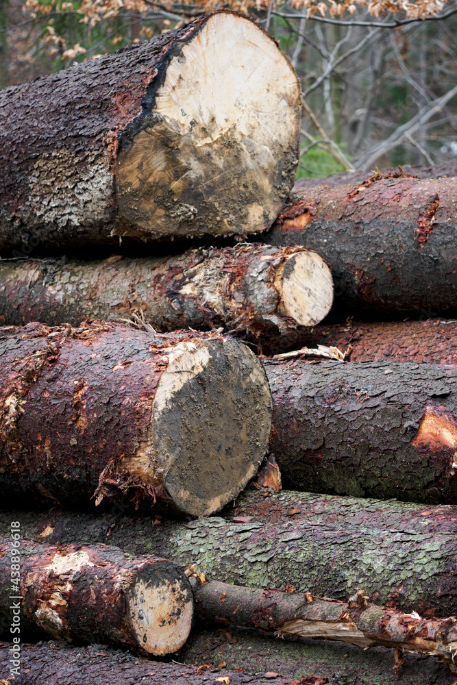 Stacked tree trunks on top of each other. Stacked tree trunks on top of each other.