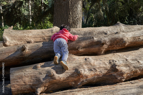 little boy climbs large logs of wood in the forest. Effort and sacrifice