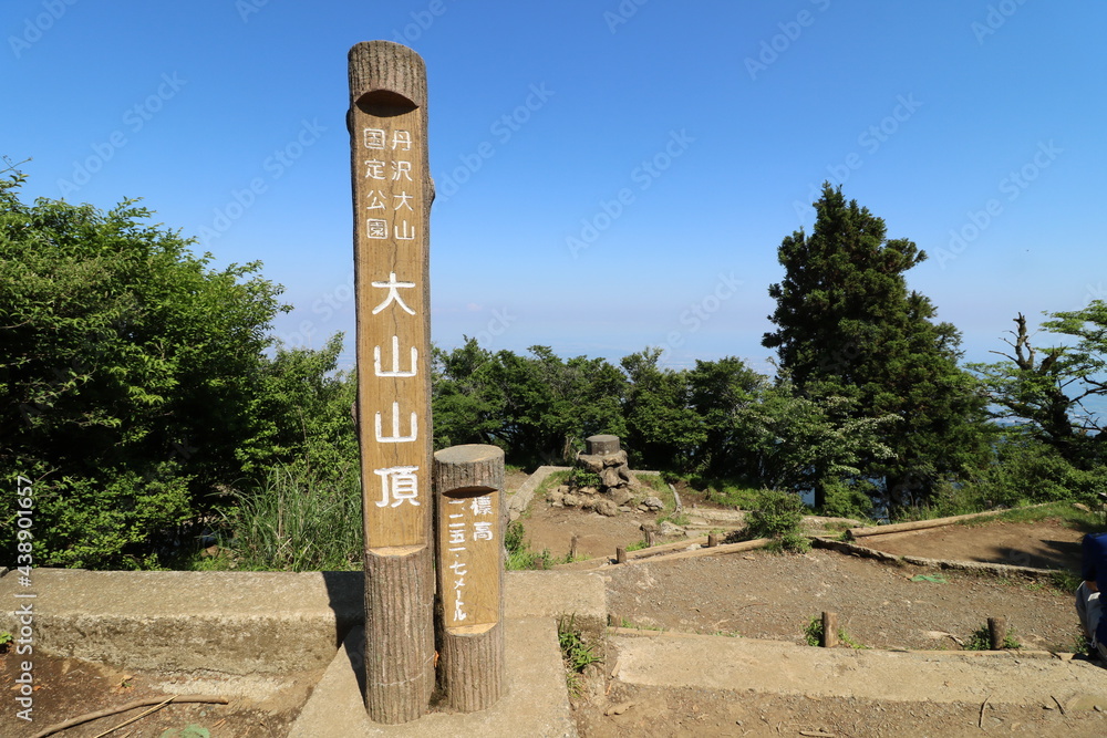 Obraz premium 神奈川県の丹沢の大山の登山