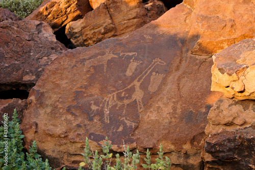 San rock art at Twyfelfontein, Namibia photo