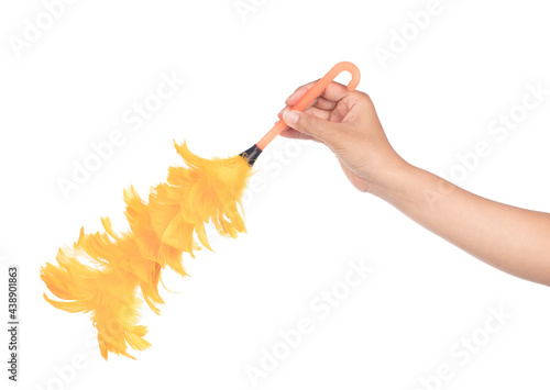 Fotografie hand holding yellow feather for clean duster isolated on white background