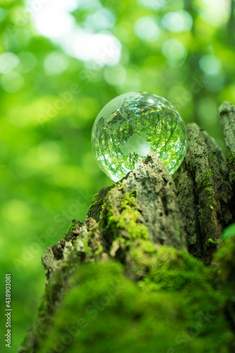 森の中のガラスの地球