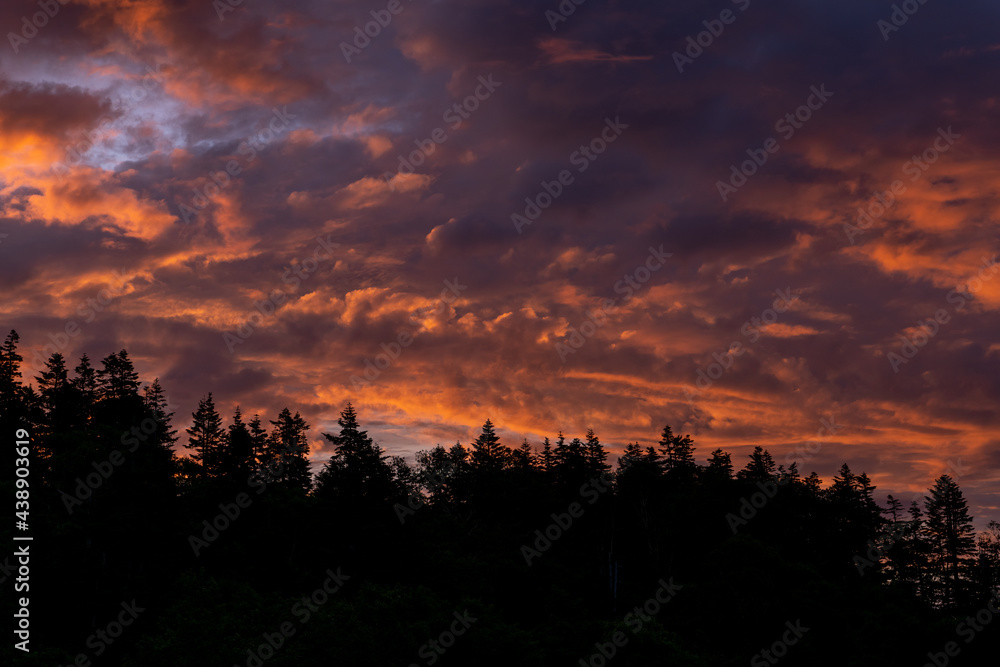 Fototapeta premium 火打山の朝焼け