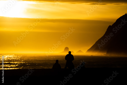 Men On the Beach at Sunset Silhouette 