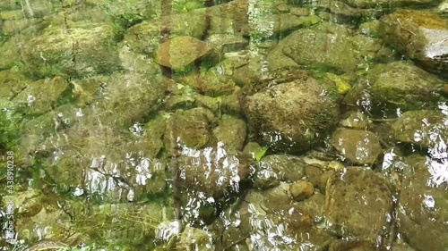 Clear river with green rocks and trees above the water surface, Nature leaves shadow over the river in the dark forest