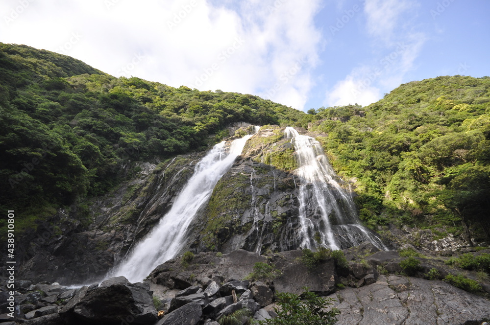 Fototapeta premium 屋久島の滝4