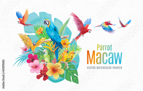 Beautiful Bird parrot Macaw and flower of leaf hand paint watercolor on paper texture white background
