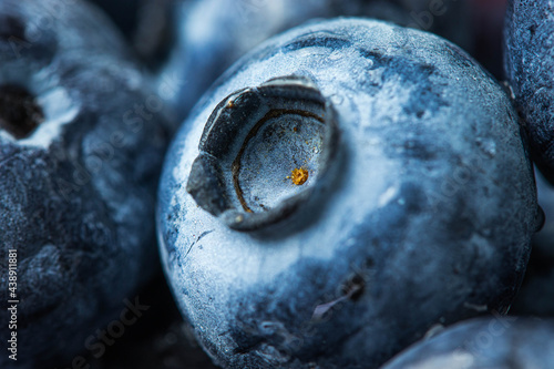 Close up of ripe blueberry in group 