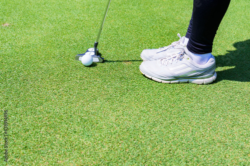 putter and golf ball on the green