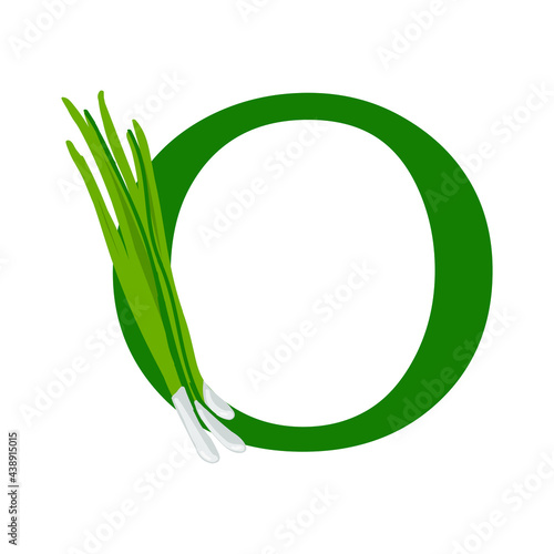 
letter o and onion on the white background
