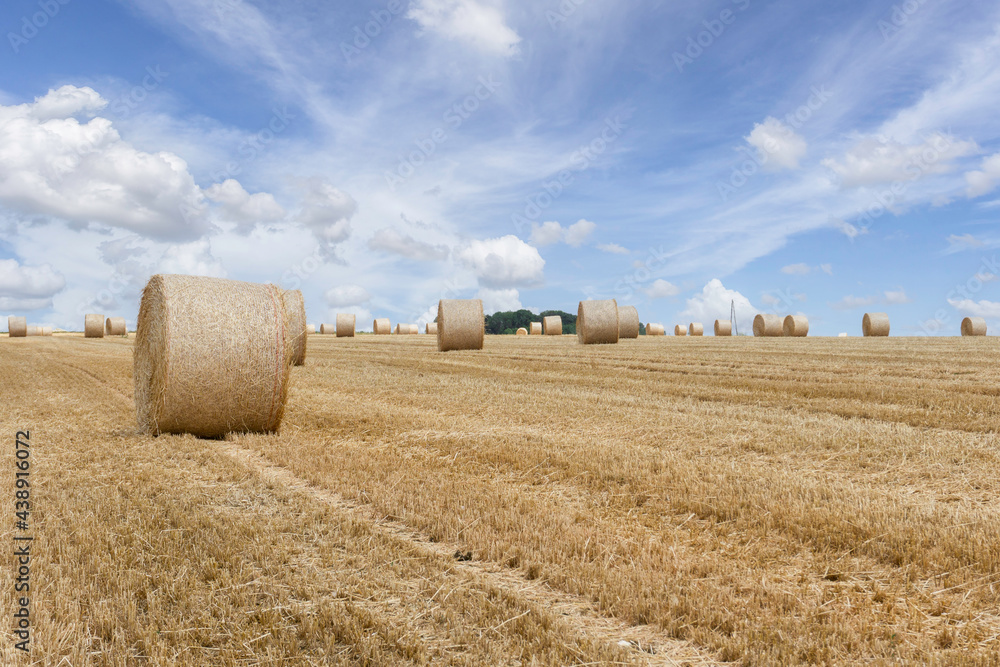 Straw bales stacked in a field at summer time, Reims