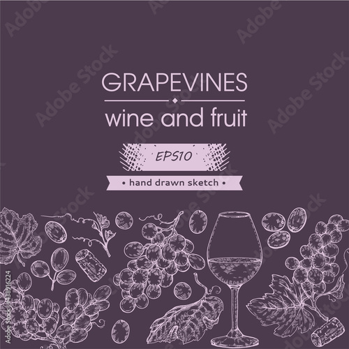 Collection of wine glass and bunches of grapes.