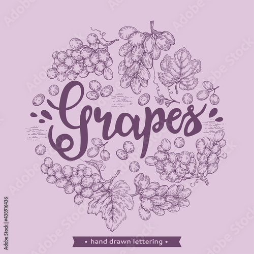 Circle filled with different bunches of grapes and lettering grapes.