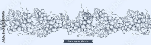 Bunch of grapes on the blue background.