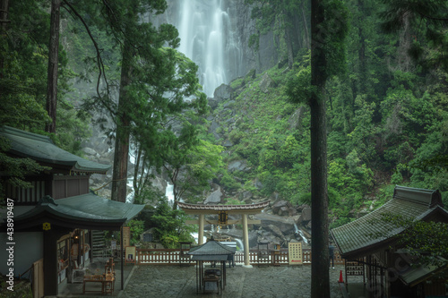 和歌山県 那智の滝 新緑