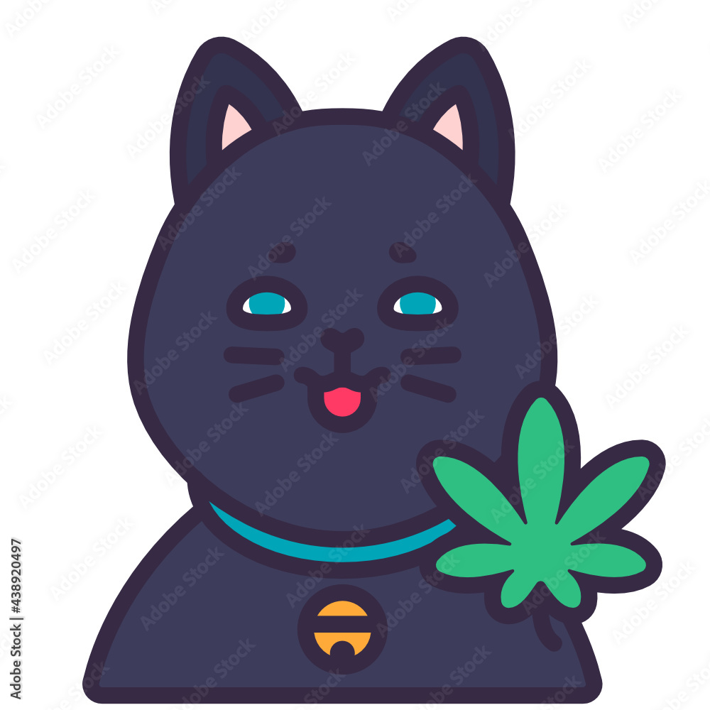 Catnip Catnip