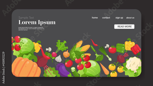 set fresh vegetables composition healthy food concept horizontal copy space
