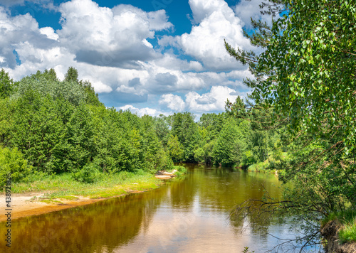 Calm river flowing gently through woodland landscape. Landscape With Forest On Coast Of river  Pond Or River At Summer. Nature landscape photography