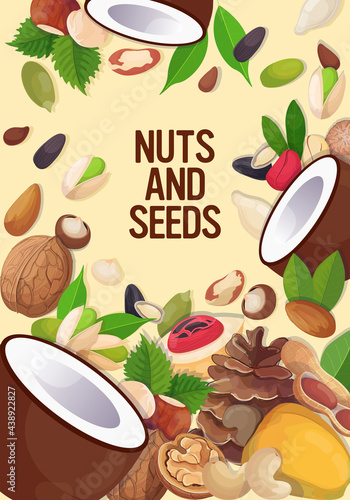 set different nuts and seeds composition healthy vegetarian food concept vertical