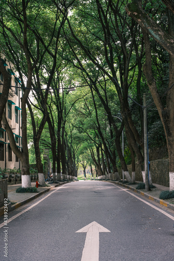 Early summer scenery of Guishan Park in Hanyang, Wuhan, Hubei, China Early summer scenery of Guishan Park in Hanyang, Wuhan, Hubei, China