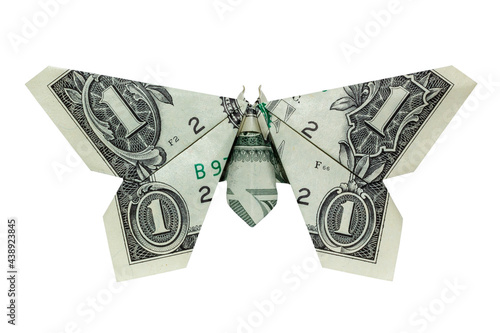 Money Origami Gray BUTTERFLY Folded with Real One Dollar Bill Isolated on White Background