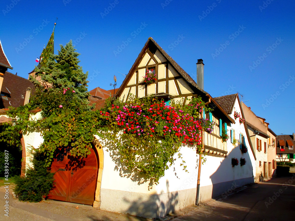 Maison à colombages traditionnelle et fleurs Géraniums, Alsace, France