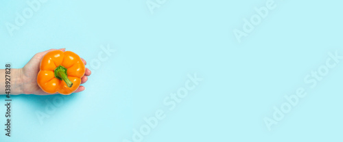 A female hand in the palm holds an orange pepper on a blue background. Top view, flat lay. Banner