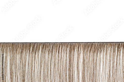 Real human hair extensions isolated on white background. The hairdresser wove a blank for hair extensions.
