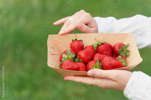 Holding strawberry in hand. Strawberries in disposable eco plate on green background. Seasonal red berry.