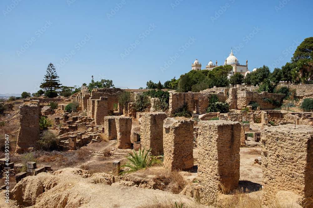 Ruins of Carthage in Tunisia