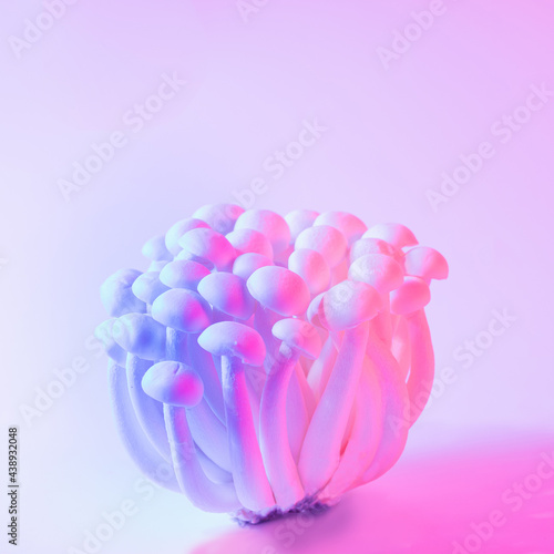 Unique Asian food vibrant concept. Crypto vibe arrangement with two lights and bunch of fresh shimeji mushrooms.