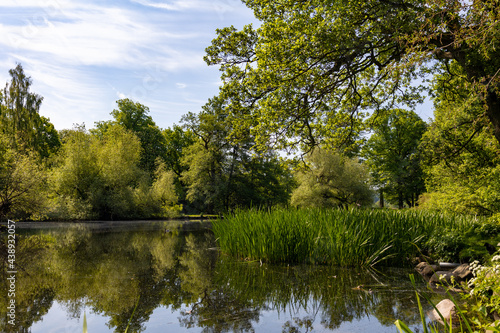 Lush trees and foliage around a pond in a public park in Gothenburg, Sweden