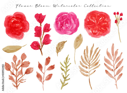 Flower Bloom Watercolor Collection