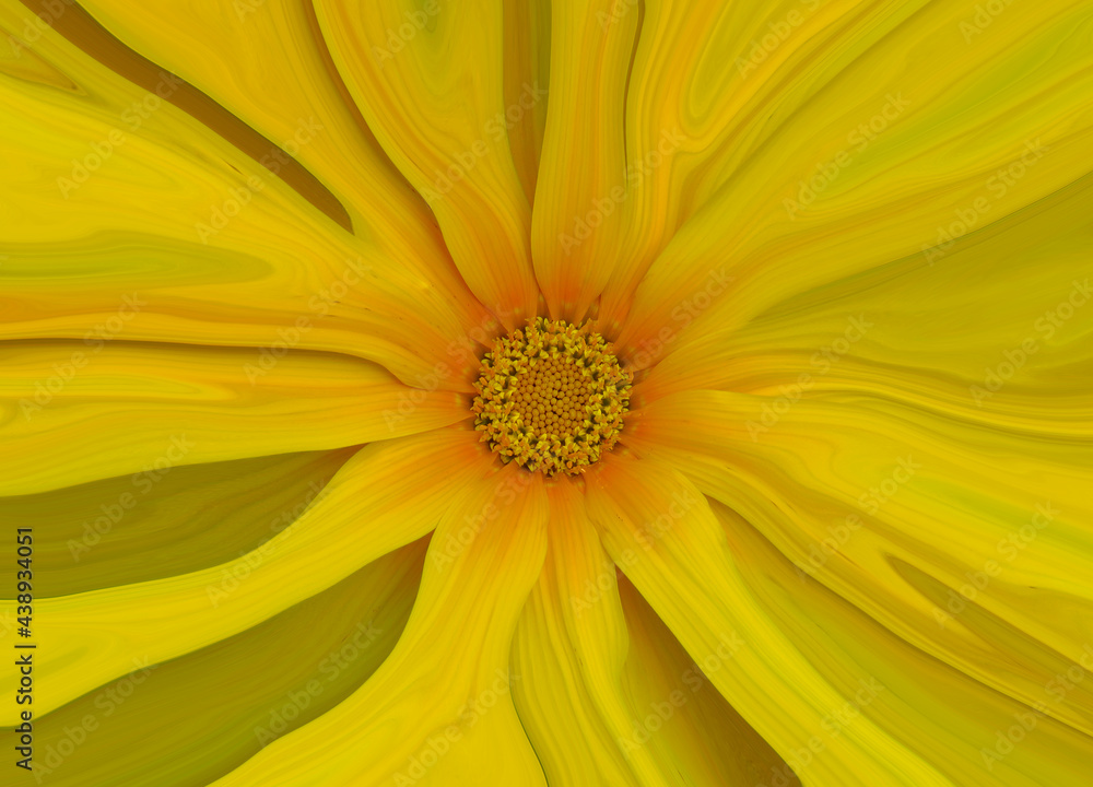 yellow flower macro background, flower flow background for design, Abstract beautiful yellow flower background yellow flower macro background, flower flow background for design, Abstract beautiful yellow flower background