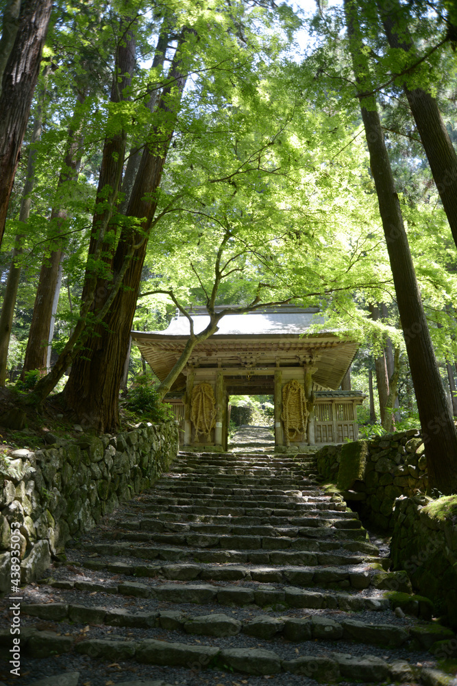 百済寺　仁王門と参道　滋賀県東近江市