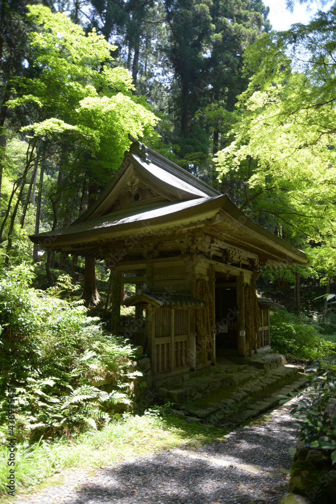 百済寺 仁王門 滋賀県東近江市 百済寺 仁王門 滋賀県東近江市