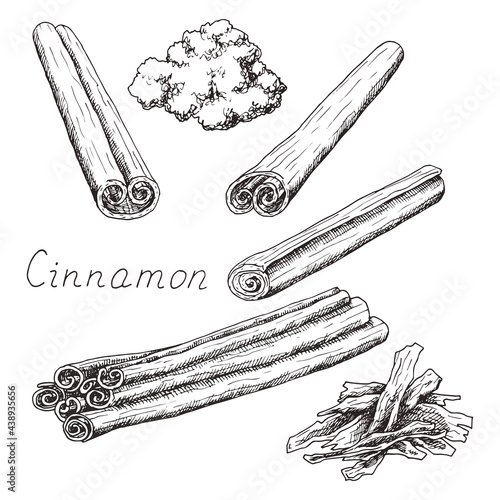 Natural cinnamon stick. Winter holiday seasoning for hot drinks and pastries. Aromatic bark. Condiment. Isolated clipart set on white background. Hand-drawn ink sketch.