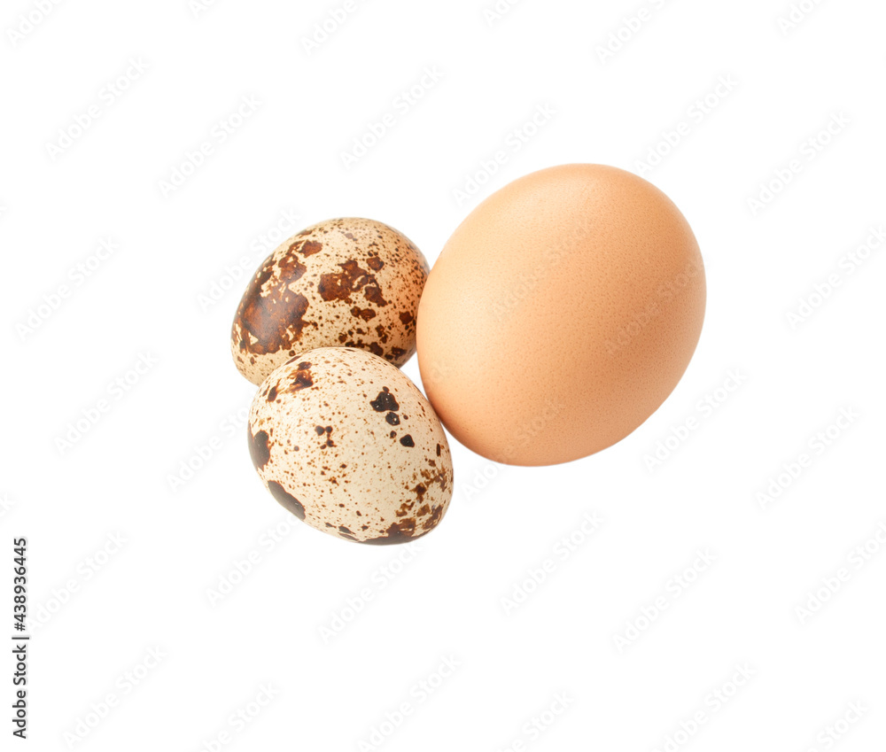 quail eggs isolated on white quail eggs isolated on white