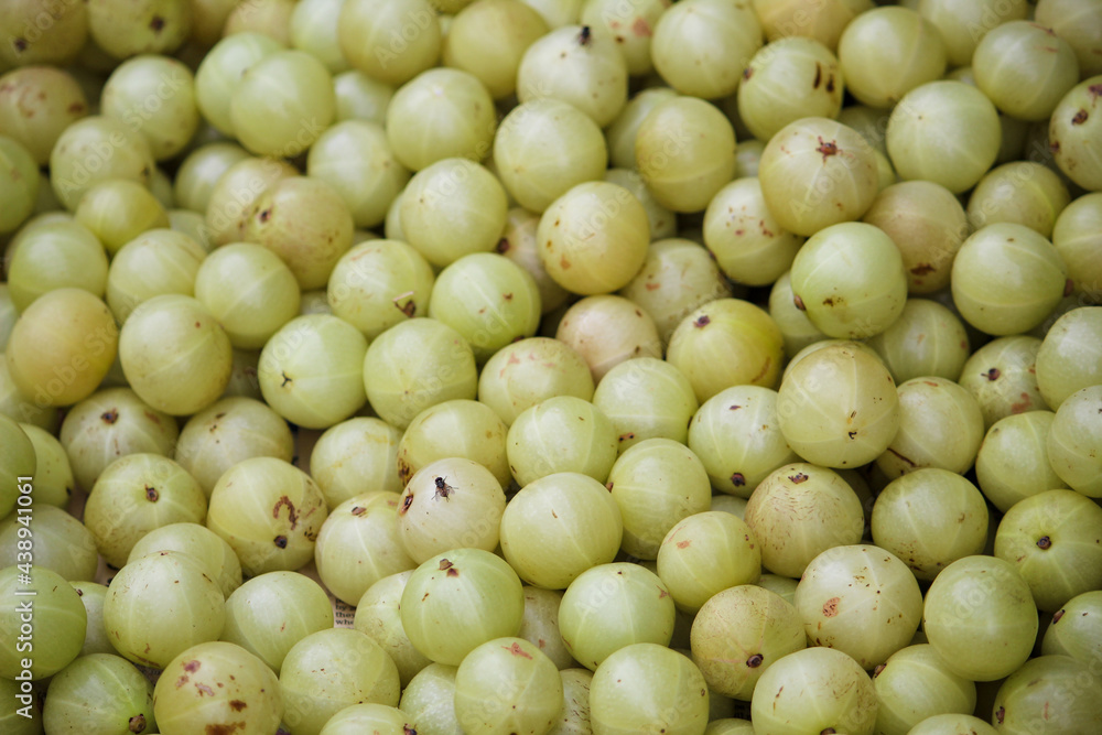 green olives background