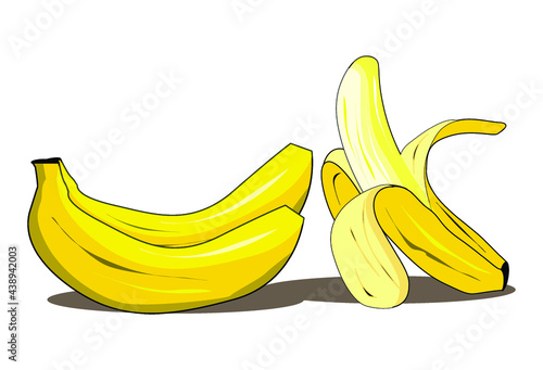 fresh banana fruit illustration vector drawing
