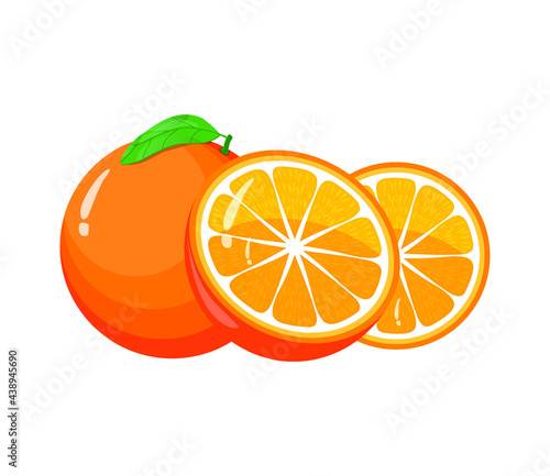 fresh orange fruit illustration vector drawing