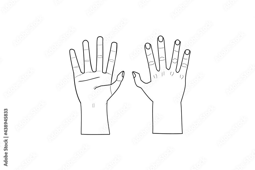 vector drawing, men's hands in position different ,upside down and turn up, on white background vector drawing, men's hands in position different ,upside down and turn up, on white background