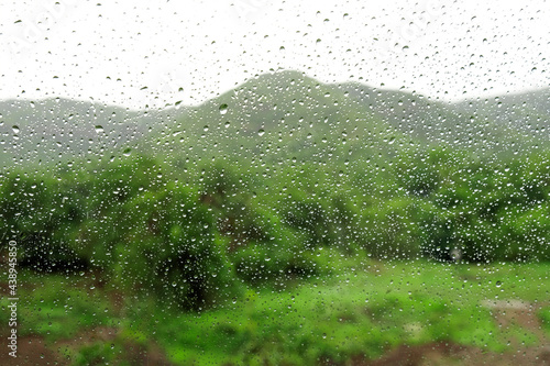 water drops on the glass. Beautiful green nature background, selective focus.